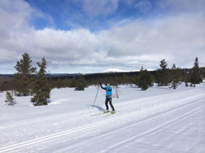 Langlaufen mit Aussicht