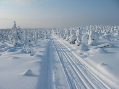 Fresh tracks on the Kalevala Tour