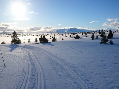 Pistes parfaitement préparées !