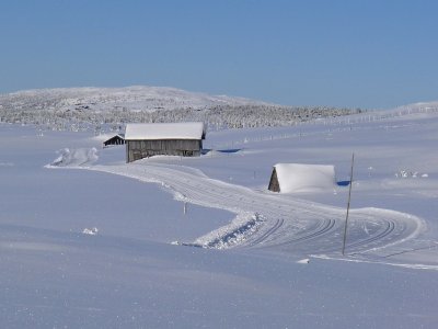 Entre Pellestova et Nordsetter