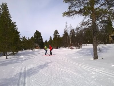 Dans la Nature du Rauhala