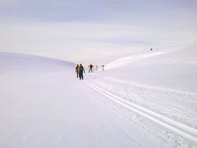Dans l'immensité de l'Arctique