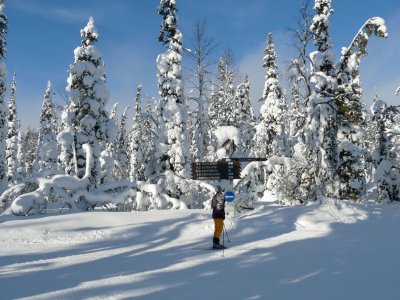 Dans la bonne direction c'est mieux