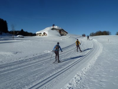 Pistes parfaites pour les skateurs