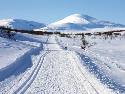 Das weite Loipennetz Schwedens