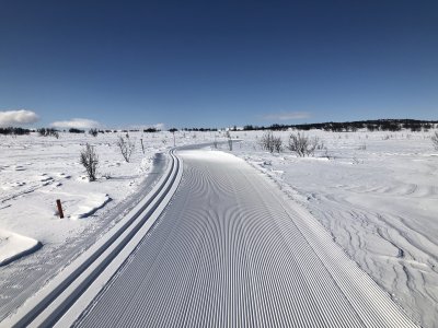 Piste tracciate per entrambe le tecniche