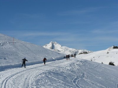 Chissà cosa ci stà davanti