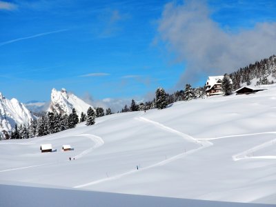 Cross country tracks everywhere