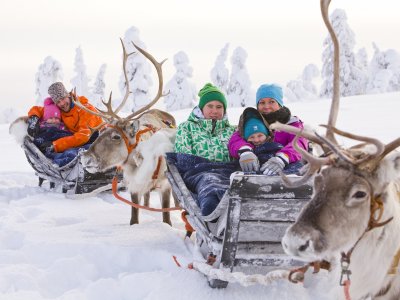 Rentier Schlittentour