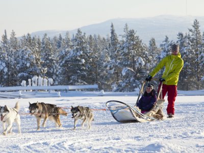 Doch lieber mit Husky unterwegs?