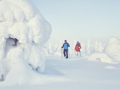 Snowshoe Märchenlandschaft