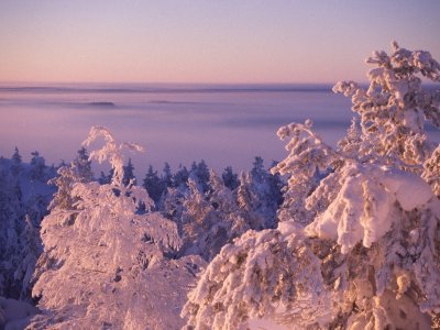 Juste au dessus du brouillard !