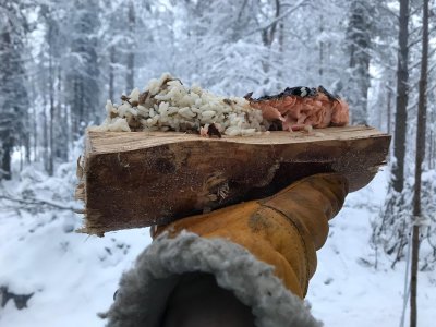 Lunch de midi au bord du feu de camp !