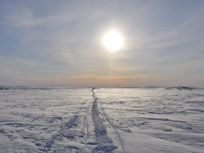 Verloren im Rostrojavri Nationalpark