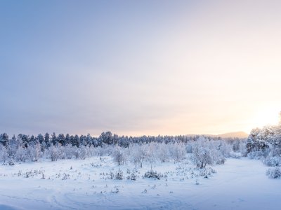 Am Randes des Kekkonen Nationalparks