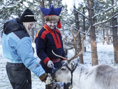 Besuch auf der Rentierfarm