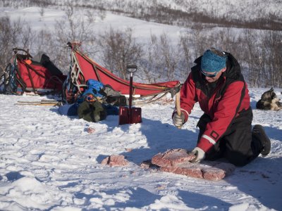 Les tâches sont partagées