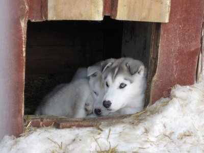 Der Nachwuchs wartet schon