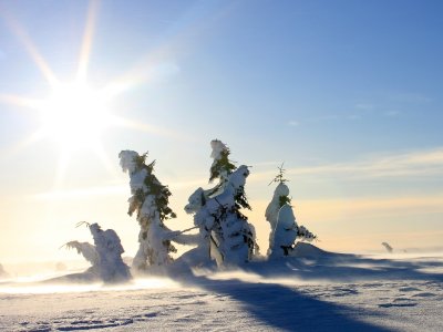 Naturschauspiel mit Licht und Schnee