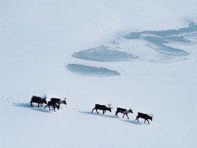 Interessierte Zuschauer