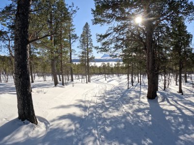 Auf dem Jotunheimen Trail