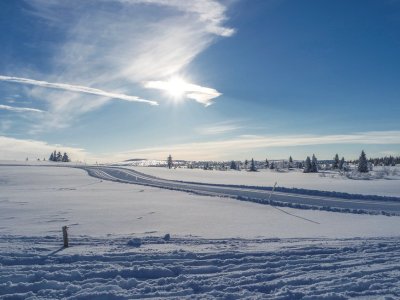 Grenzenloses Loipennetz