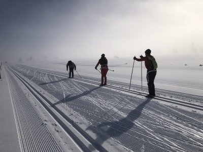 Through mystical landscape