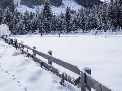 Ein Winter zum Schwärmen