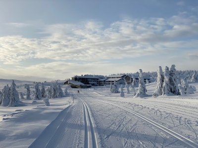 In viaggio a Pellestova