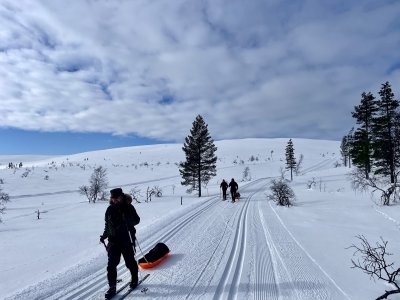On the road through Saariselkä by pulka