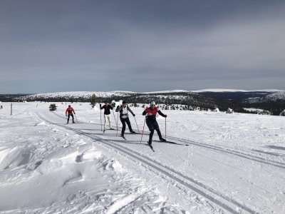 À travers la Laponie Nord !