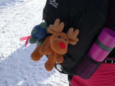 Des rennes il y en a vraiment partout !