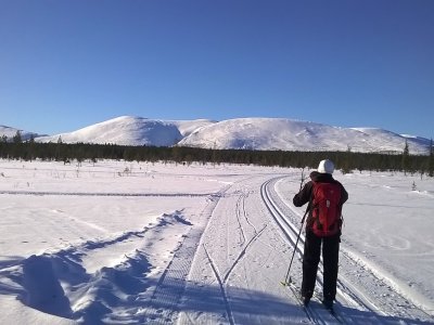 Halte pour une photo