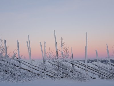 Spektakulär arktisch