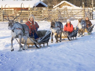 Safari en traîneau à rennes