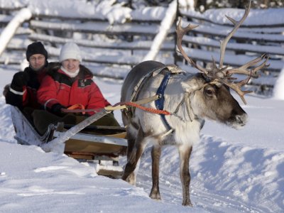 Gita trainata da una renna