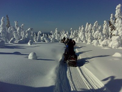 Frei Fahrt nach Russland