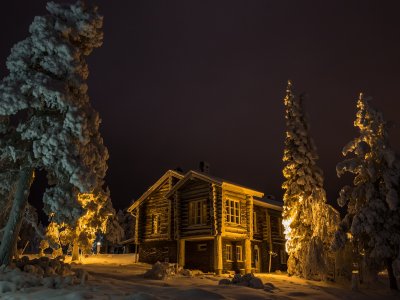 Chalet en rondins au milieu des sapins