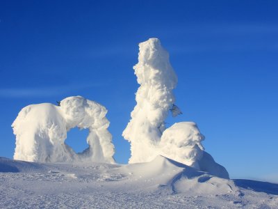 Schnee Baumskulpturen