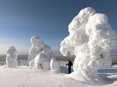 Yeti, moaï, autre chose ?