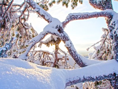 Schneezauber in Vuokatti