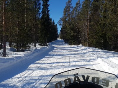 Breiter Motorschlitten-Trail durch die Waldlandschaft