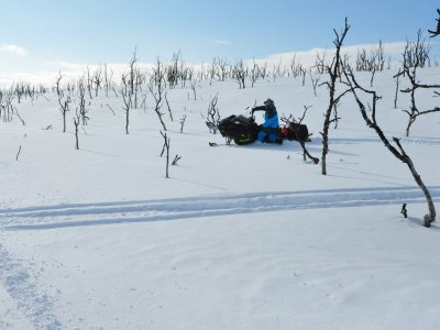 Schnee so weit das Auge reicht