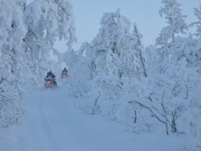 Il faut juste se frayer un passage au travers des arbres enneigés !