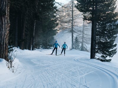 Langlaufen zwischen Wald und See