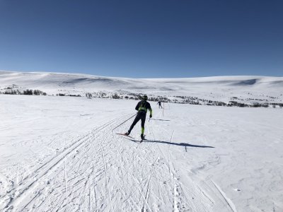 Paesaggio artico in Svezia                                  