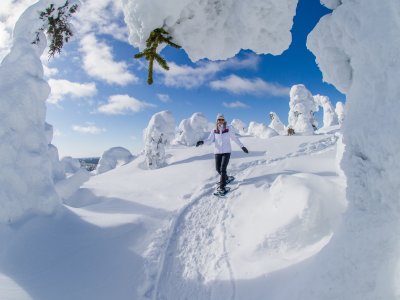 Ein wahres Wintervergnügen