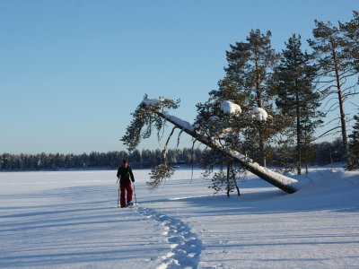 Tracce nella neve polverosa