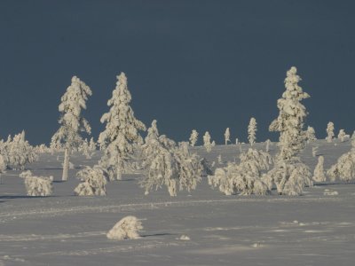 Eingebettet in unberührte Natur