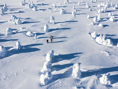 Im Pyhä-Luosto Nationalpark